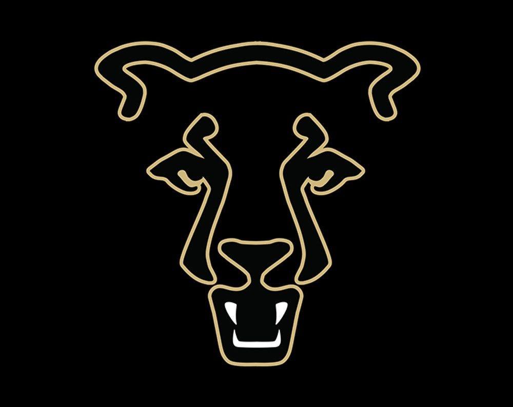 UCCS Mountain Lion Logo - UCCS Athletics Statement on Women's Soccer - UCCS Athletics