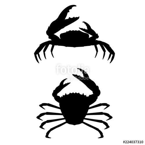 Shilloute Crab Logo - Crab icon, silhouette, logo on white background Stock image
