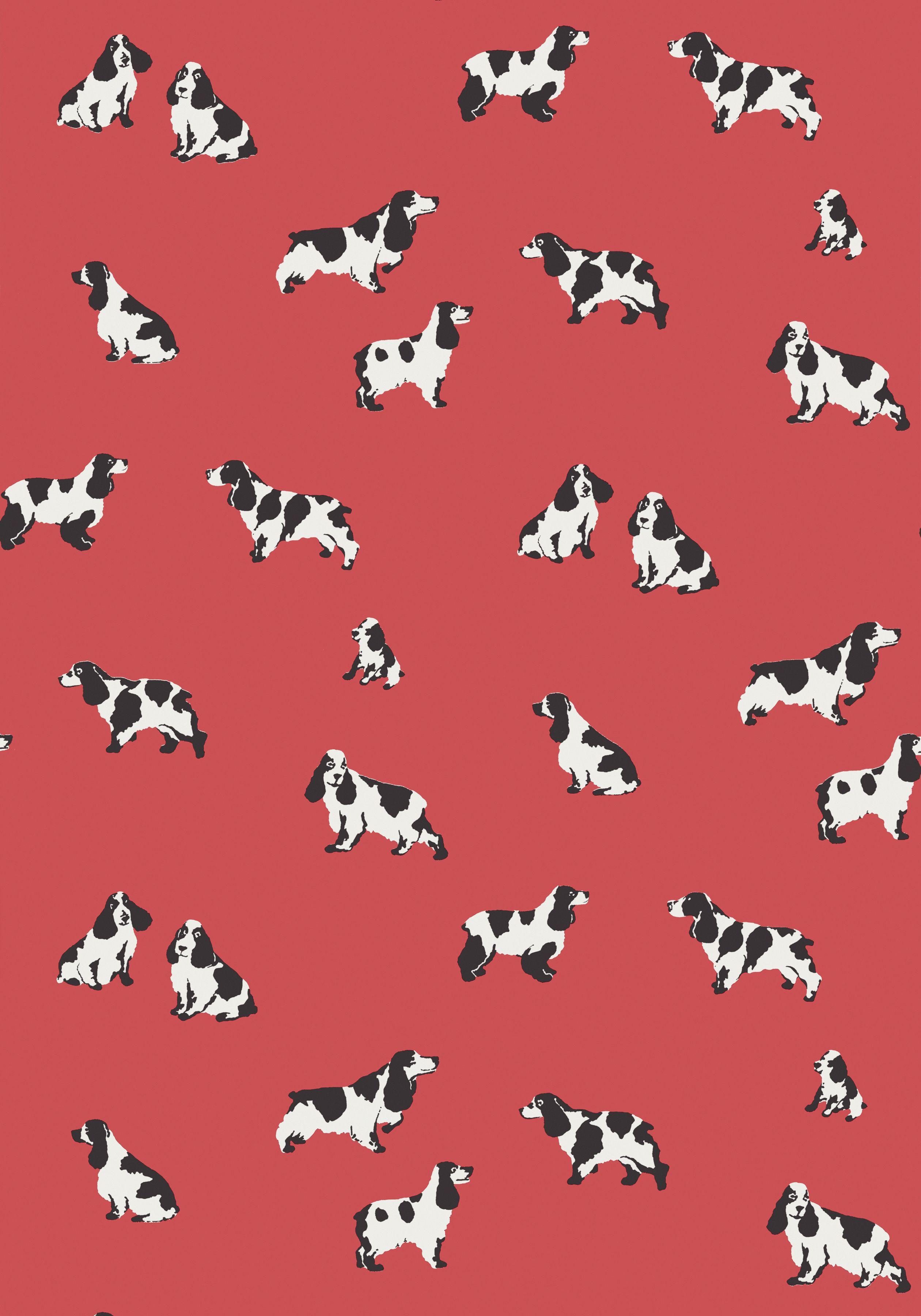 White Dog Red Background Logo - PUREBRED, Red, T36180, Collection Enchantment from Thibaut | Kid's ...