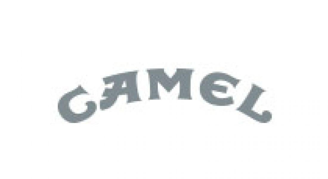 Camle with Black C Logo - Camel:LYNK. Branding Full Dimensions Communication