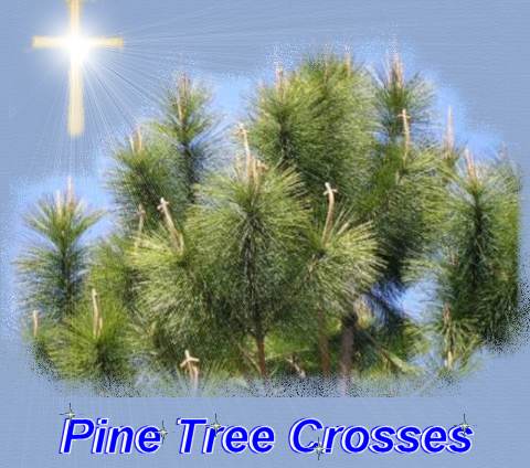 Pine Tree Cross Logo - Pine Tree Crosses inspirational story before Easter,John 14:27 ...