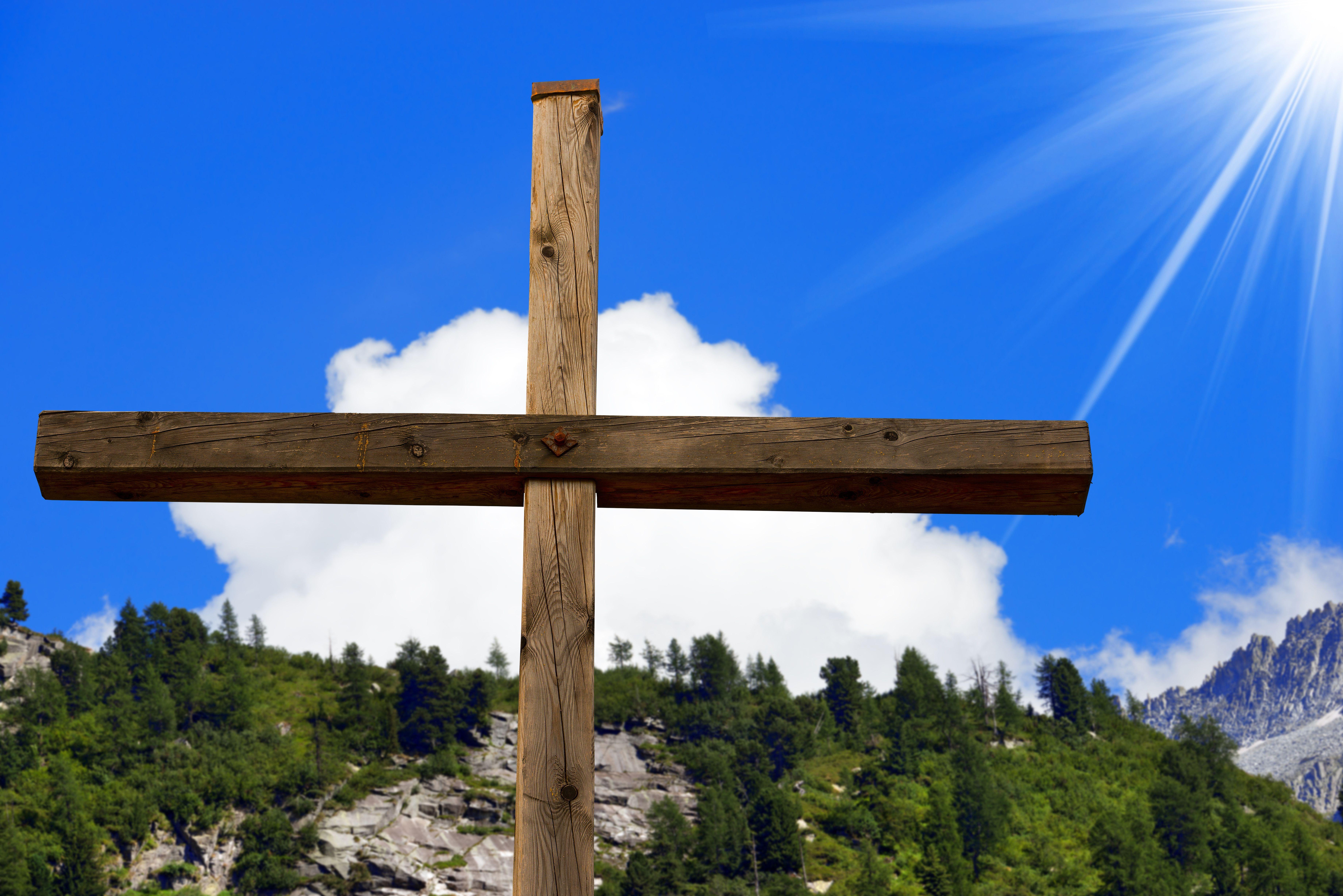 Pine Tree Cross Logo - Pine Tree Crosses Easter Story - Crosses on a Pine Tree Meaning