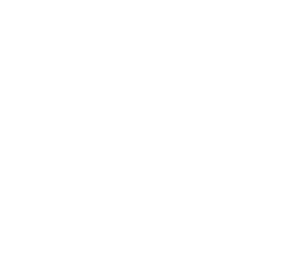 MSV Logo - Medical Society of Virginia |