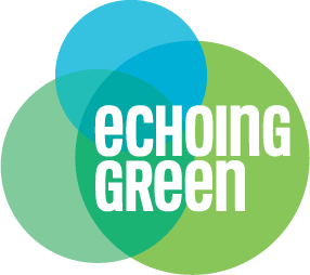 Green Transparent Logo - Fellowship Programs | Echoing Green