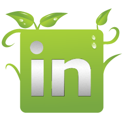 LinkedIn Green Logo - Diy Link Costume : Gallery For > Linkedin Logo Green