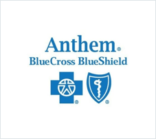 Anthem Logo - anthem-logo | 500 Festival