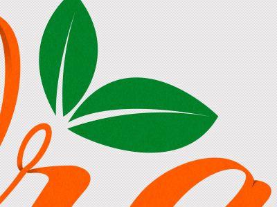 Orange and Green Logo - Orange and Leaf