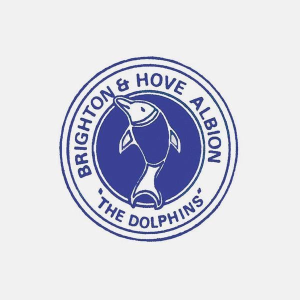 Brighton and Hove Albion Logo - Brighton & Hove Albion F.C League