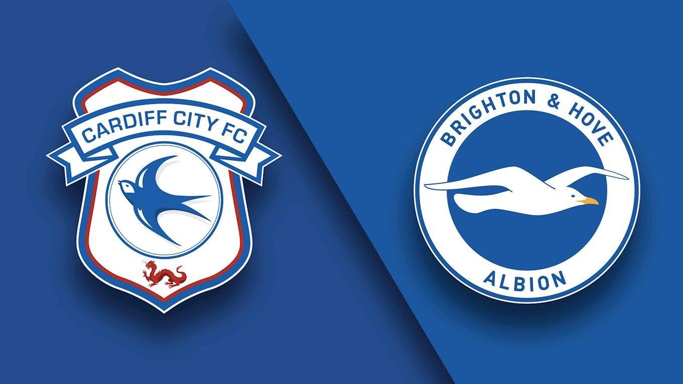 Brighton and Hove Albion Logo - Match Preview: Cardiff City vs. Brighton & Hove Albion - News ...