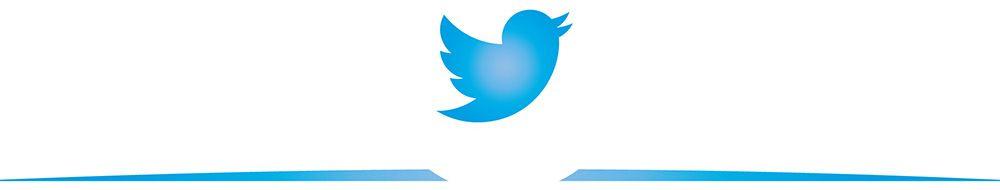 Social Media Twitter Logo - Social Media Image Sizes Cheat Sheet A Website Hub