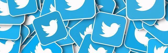 Social Media Twitter Logo - Editors and social media: Twitter