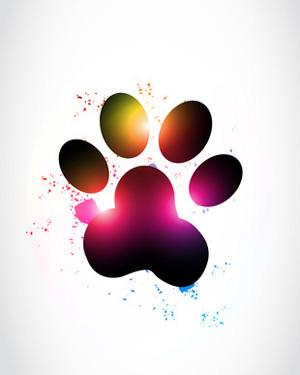 Colorful Dog Logo - Single Dogs Paw Print - Dog Clip Art Pictures