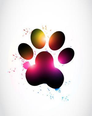 Colorful Dog Logo - Single Dogs Paw Print Clip Art Picture