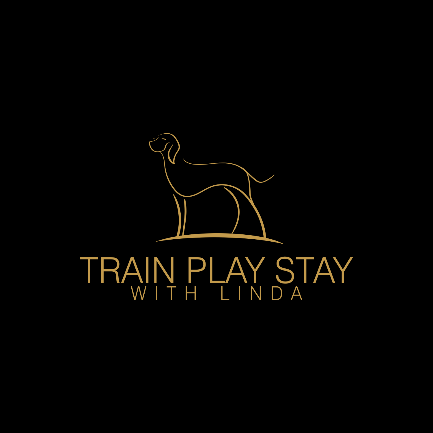 Colorful Dog Logo - Playful, Colorful, Dog Training Logo Design for Train Play Stay OR