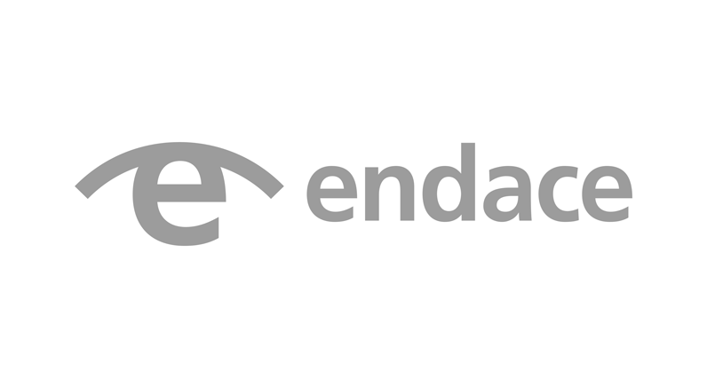 Emulex Logo - Endace Spins Off From Emulex In Management Led Buyout