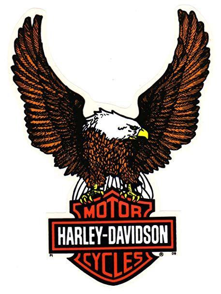 Flying Shield Logo - Harley-Davidson ~ Large ~ Flying Eagle Bar and Shield Inside Window ...