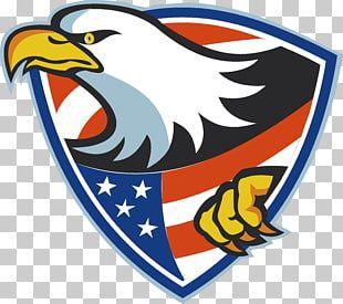 Flying Shield Logo - 185 eagle Shield PNG cliparts for free download | UIHere