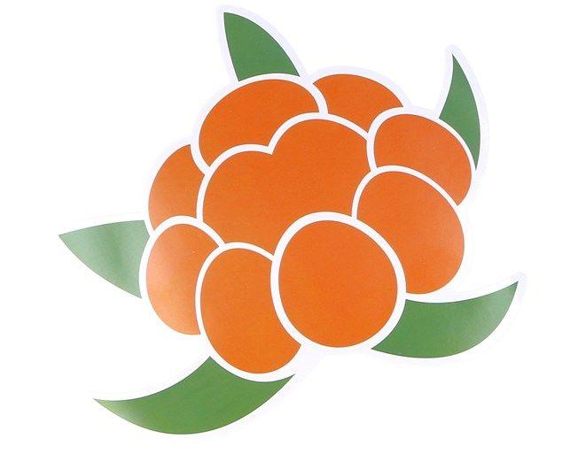 Orange and Green Logo - Sticker Berry Logo 14x13 CM Green Orange Accessories