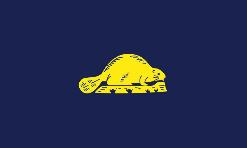 Navy Blue Flag Logo - Oregon State Colors | Navy Blue and Gold