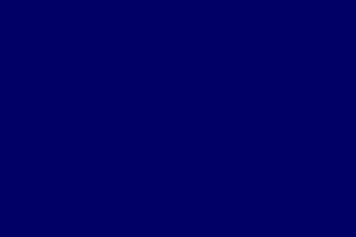Navy Blue Flag Logo - Colombia