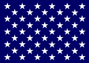 Navy Blue Flag Logo - Naval Jack (U.S.)