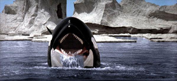Orca Movie Logo - Orca - The Killer Whale (1977) Movie Review from Eye for Film
