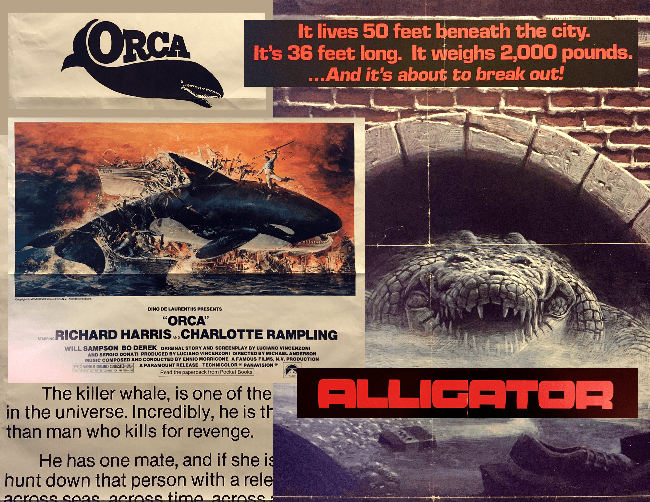 Orca Movie Logo - Cinema Collectibles #13: Orca and Alligator Posters | Scarecrow