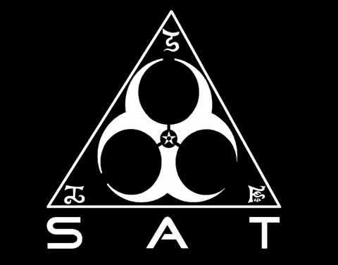 Really Cool Logo - SAT: The SAT logo is made!