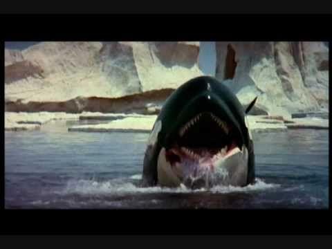 Orca Movie Logo - ORCA -THE KILLER WHALE - CS Wilde