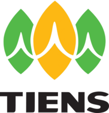 Chinese Conglomerate Logo - Tiens Group