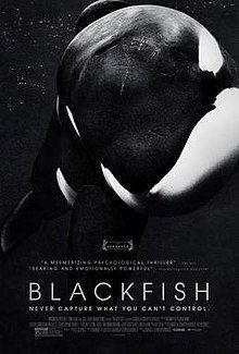 Orca Movie Logo - Blackfish (film)