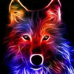 Red Blue Flame Logo - ANIMALS. Blue Flame Remix