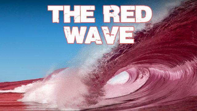 Trump Red Wave Logo - Mr. Newt Predicts a Red Wave - The Rush Limbaugh Show