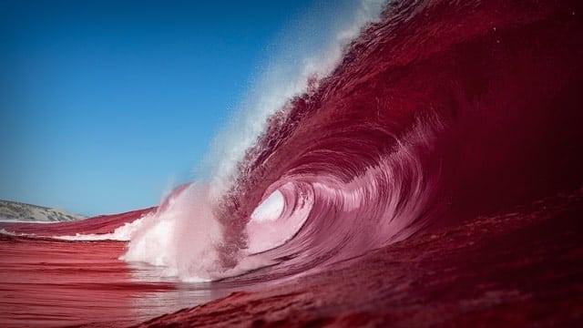 Trump Red Wave Logo - Ohio, Trump, and the Red Wave