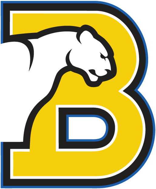 Division B Logo - Birmingham-Southern Panthers Primary Logo - NCAA Division I (a-c ...