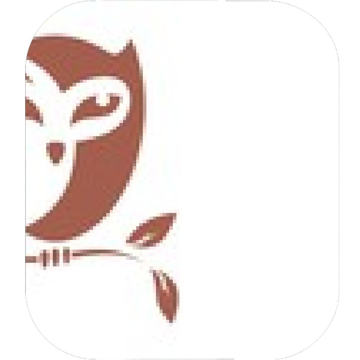 Brown Owl Logo - Designs – Mein Mousepad Design – Mousepad selbst designen