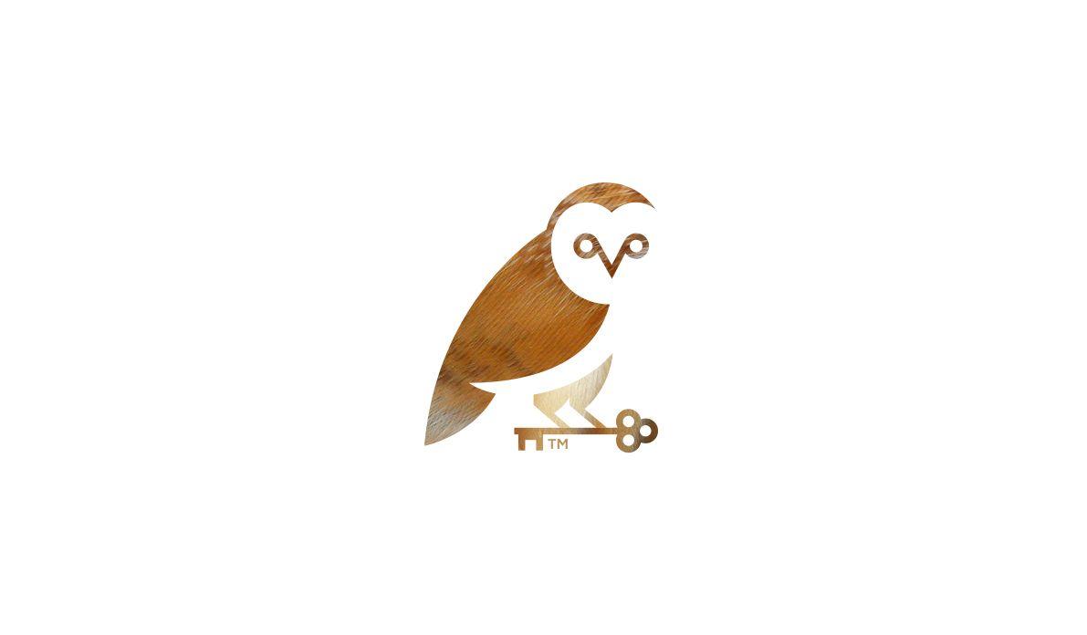 Brown Owl Logo - Owl Logo Mark. Logo. Owl logo, Logos, Logo inspiration