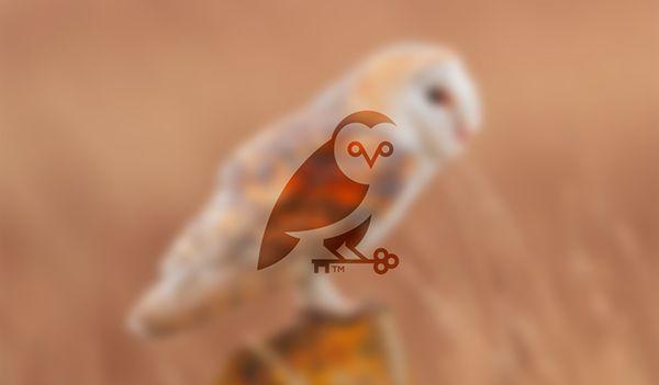 Brown Owl Logo - Owl Logo Mark on Behance