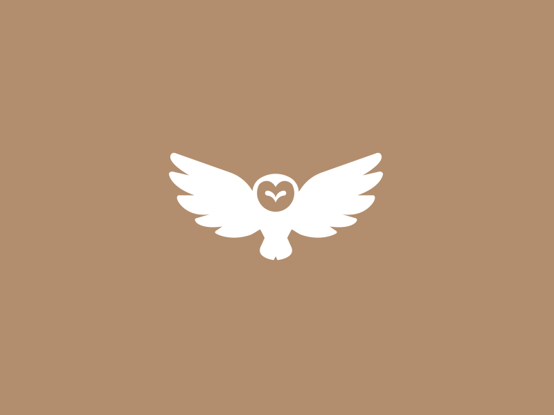 Brown Owl Logo - Owl logo by Damian Patkowski | Dribbble | Dribbble