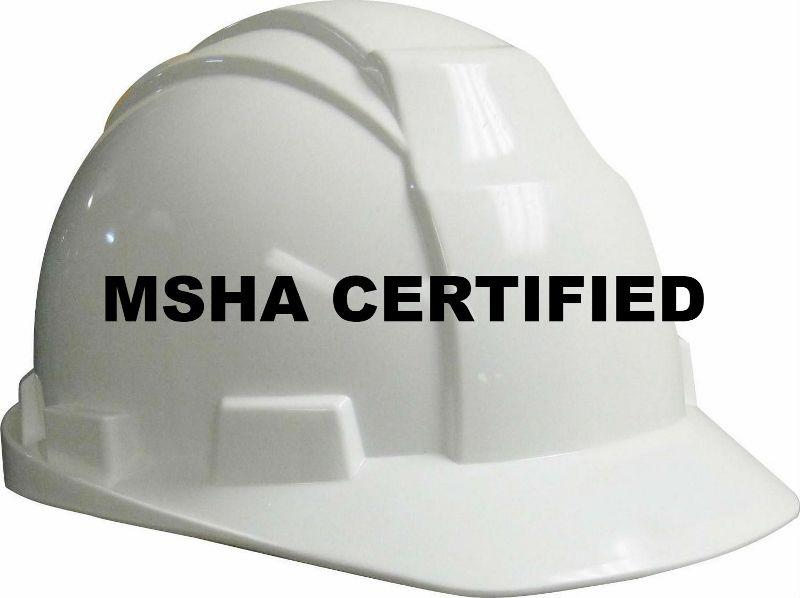 MSHA Logo - MSHA Logo (800×598)