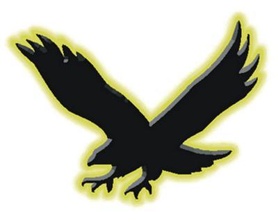 Go Hawks Logo - State wrestling: Go-Hawks enjoy perfect final round | Wrestling ...