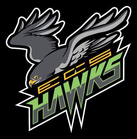 Go Hawks Logo - Go ECS Hawks!