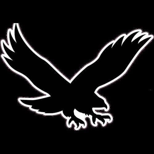 Go Hawks Logo - Boys Varsity Basketball - Waverly Shell-Rock High School - Waverly ...