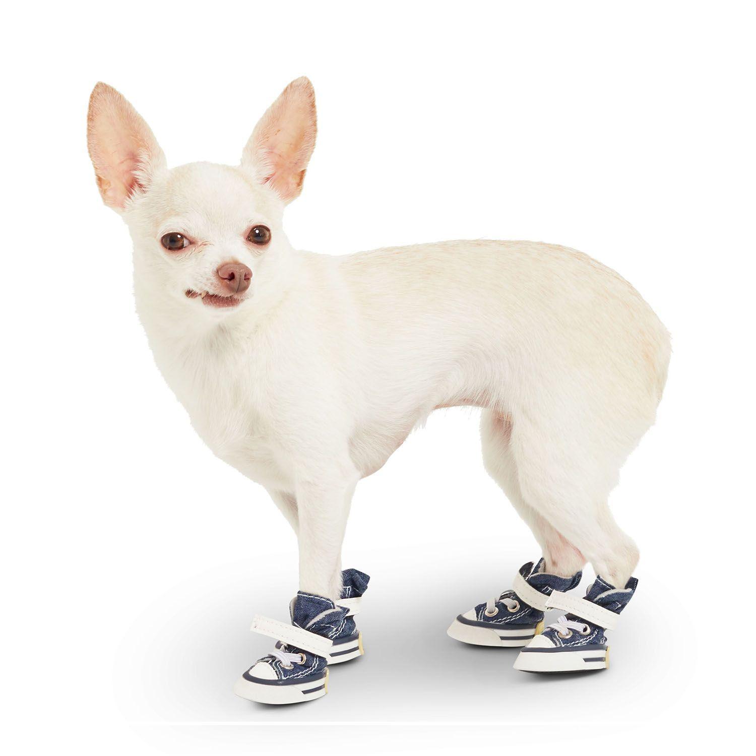 Blue Dog Running Logo - Dog running shoes, blue - Petite Pistache - 1028502 | Mondou