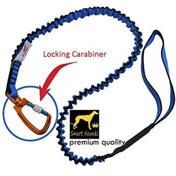 Blue Dog Running Logo - Bungee dog Lead with locking carabiner . Safe and secure for walking ...