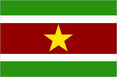 Red White Green Flag Logo - Flag of Suriname
