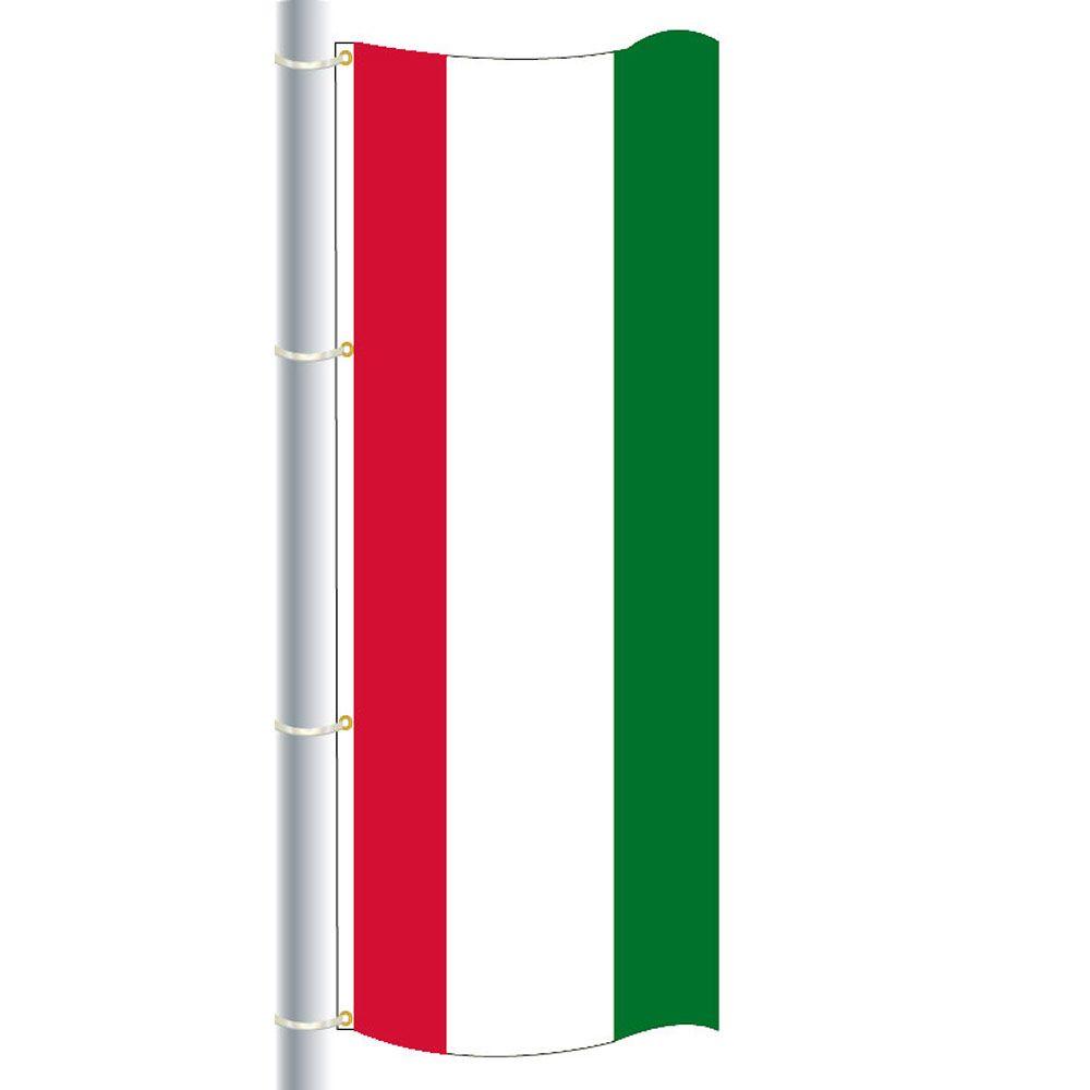 Red White Green Flag Logo - Triple Stripe Drape Flag