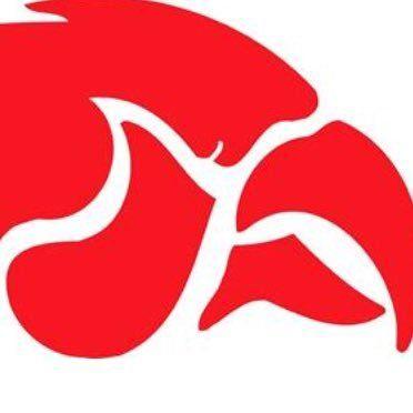 Cedar Springs Red Hawk Logo - Cedar Athletics