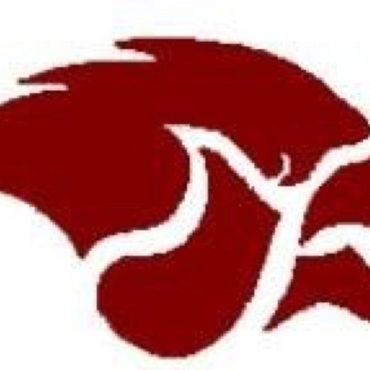 Cedar Springs Red Hawk Logo - CSHS Athletics (@CSHSAthletics) | Twitter
