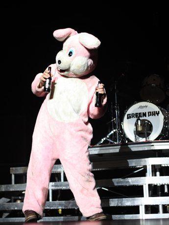 Green Day Bunny Logo - Drunk Bunny > Easter Bunny : greenday